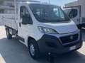 Fiat Ducato RIBALTABILE TRILAT. Blanc - thumbnail 2