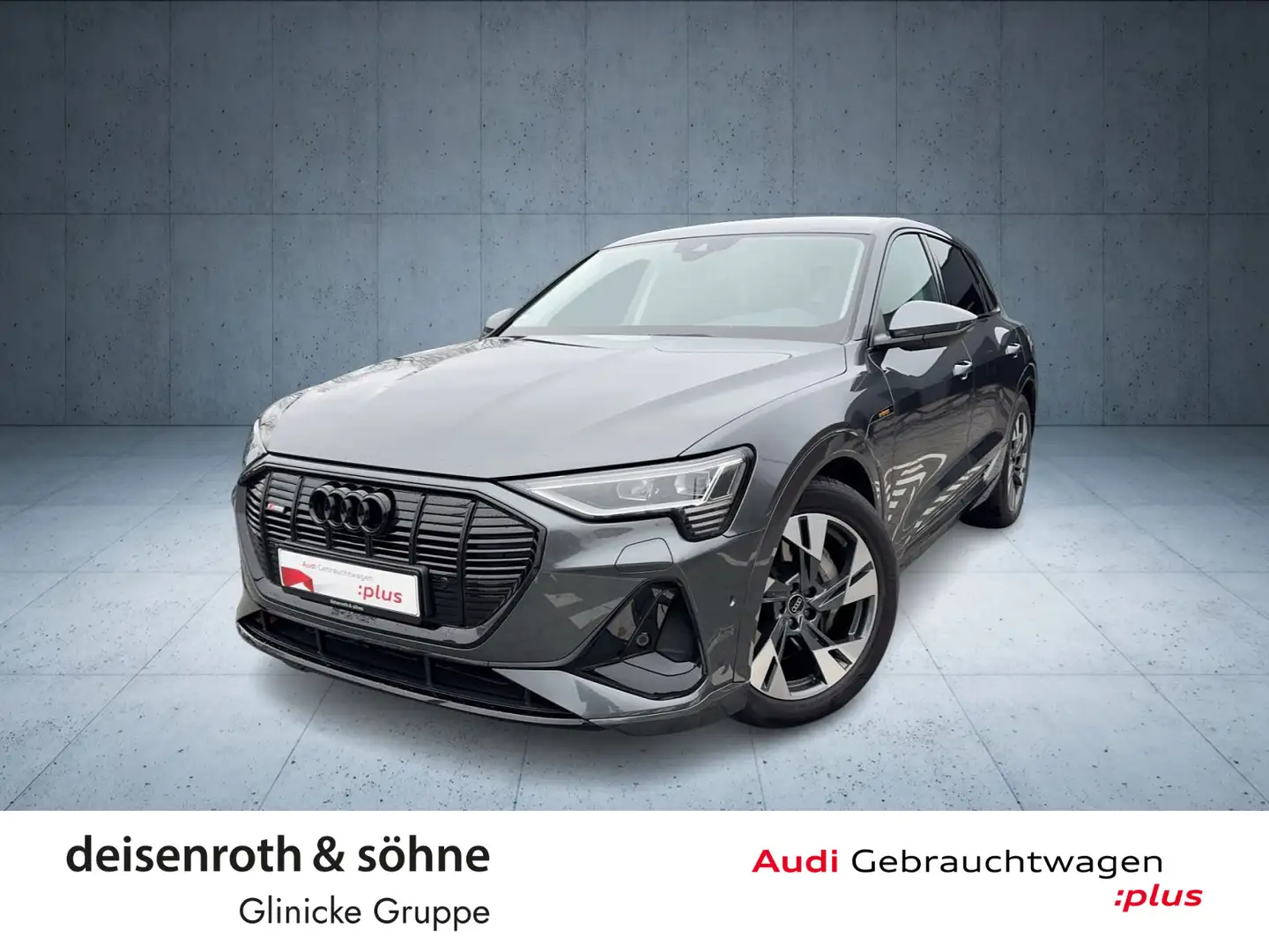 Audi e-tron 50 S line qu Nav/Kam/DAB/20"/Luft/Assist/ Grau - 1
