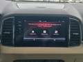 Skoda Karoq 2.0 TDI DSG,4x4,STAND,PANO,360-KAMERA,LED Klima Weiß - thumbnail 14