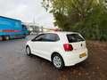 Volkswagen Polo 1.2 TDI BlueMotion LEUKE AUTO ZO WEG PRIJSJE Wit - thumbnail 7