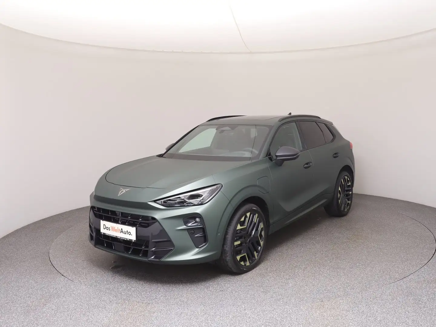 CUPRA Terramar TRIBE e-HYBRID 204 PS DSG Grün - 1