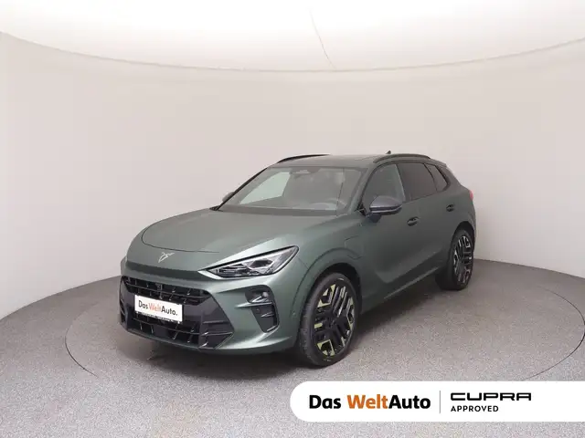 Cupra Terramar main image