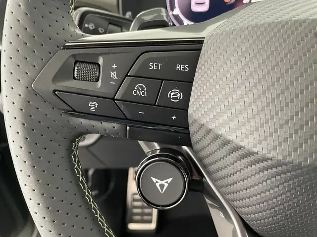 Cupra Terramar view 14
