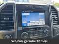 Ford Ethanol SuperCrew 4x4 Tout compris hors homologati Gris - thumbnail 13