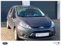 Ford Fiesta Trend Grau - thumbnail 2