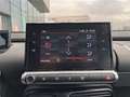 Citroen C4 Cactus 1.2 PureTech S&S Shine 110 Gris - thumbnail 15