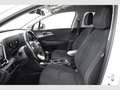 Kia Sportage 1.6 CRDi Concept 115 Blanc - thumbnail 6