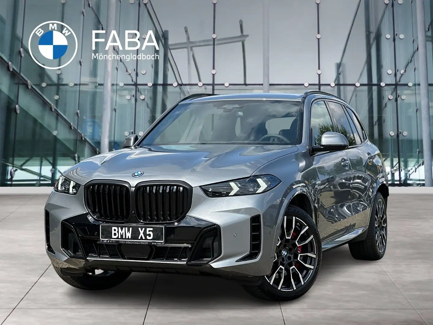 BMW X5 xDrive50e M Sportpaket HK HiFi DAB LED Shz Grau - 1