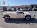 MG MGA 1600 blanche 1960 Blanc - thumbnail 5