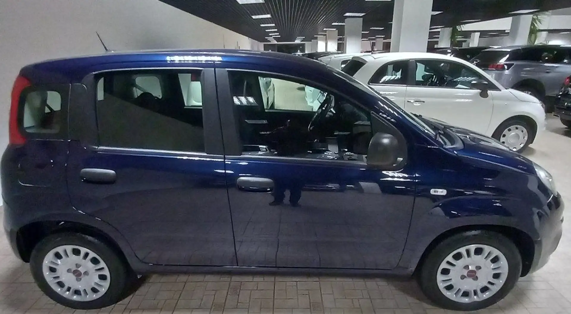 Fiat Panda 1.0 FireFly S&S Hybrid Blau - 2