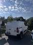 Fiat Doblo Doblo Kastenwagen 110PS Weiß - thumbnail 2