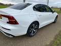 Volvo S60 S60 2.0 B4 R-Design Wit - thumbnail 5