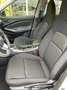 Nissan Juke NEW MC24 ACENTA MT Wit - thumbnail 18