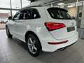 Audi Q5 3.0 TDI (clean diesel) quattro S tronic - thumbnail 12
