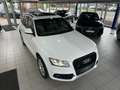 Audi Q5 3.0 TDI (clean diesel) quattro S tronic - thumbnail 1