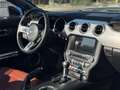Ford Mustang Convertible 2.3 EcoBoost aut. Argento - thumbnail 12