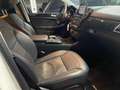 Mercedes-Benz GLE 43 AMG 4Matic *Airtamic*PANO*h/k Sound*STANDHZG*AHK Weiß - thumbnail 7