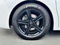 Toyota Proace Crosscamp + Winterräder Blanco - thumbnail 3
