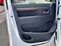 Toyota Proace Crosscamp + Winterräder Blanco - thumbnail 7