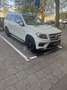 Mercedes-Benz GL 500 4-Matic AMG pakket full optie 7persoons TV Blanco - thumbnail 1