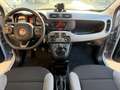 Fiat Panda 1.0 FireFly S&S Hybrid City Life (NESSUN VINCOLO) Grigio - thumbnail 8