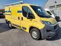 Fiat Ducato 35 2.3 MJT 130CV L1H1 ALLESTITO PC-TN L1 H1 Giallo - thumbnail 4