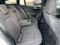 Ford Focus Turnier 1.0 HYBRID Aut 155 ST-Line X |ACC| Silber - thumbnail 21
