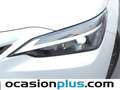 Lexus NX 350h Business City 4WD Blanco - thumbnail 17