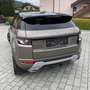 Land Rover Range Rover Evoque Dynamic 2,2 TD4 Aut. - thumbnail 4