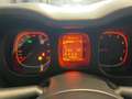 Fiat Panda 1.0 FireFly S&S Hybrid Bianco - thumbnail 11