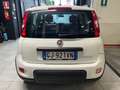 Fiat Panda 1.0 FireFly S&S Hybrid Bianco - thumbnail 6