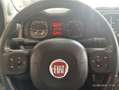 Fiat Panda 1.0 Gse City Live Hybrid Blanc - thumbnail 19