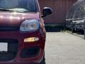Fiat Pandina 1.0 Mild Hybrid Icon PDC - Sofort verfügbar Rot - thumbnail 28