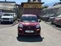 Fiat Pandina 1.0 Mild Hybrid Icon PDC - Sofort verfügbar Rot - thumbnail 2