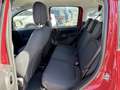 Fiat Pandina 1.0 Mild Hybrid Icon PDC - Sofort verfügbar Rot - thumbnail 8