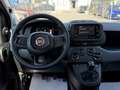 Fiat Pandina 1.0 Mild Hybrid Icon PDC - Sofort verfügbar Rot - thumbnail 15