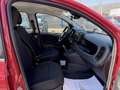 Fiat Pandina 1.0 Mild Hybrid Icon PDC - Sofort verfügbar Rot - thumbnail 9