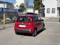 Fiat Pandina 1.0 Mild Hybrid Icon PDC - Sofort verfügbar Rot - thumbnail 4