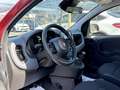 Fiat Pandina 1.0 Mild Hybrid Icon PDC - Sofort verfügbar Rot - thumbnail 12