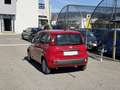 Fiat Pandina 1.0 Mild Hybrid Icon PDC - Sofort verfügbar Rot - thumbnail 6