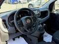 Fiat Pandina 1.0 Mild Hybrid Icon PDC - Sofort verfügbar Rot - thumbnail 13