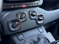 Fiat Pandina 1.0 Mild Hybrid Icon PDC - Sofort verfügbar Rot - thumbnail 22