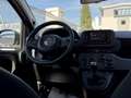 Fiat Pandina 1.0 Mild Hybrid Icon PDC - Sofort verfügbar Rot - thumbnail 17