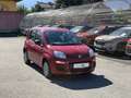 Fiat Pandina 1.0 Mild Hybrid Icon PDC - Sofort verfügbar Rot - thumbnail 3