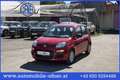 Fiat Pandina 1.0 Mild Hybrid Icon PDC - Sofort verfügbar Rot - thumbnail 1