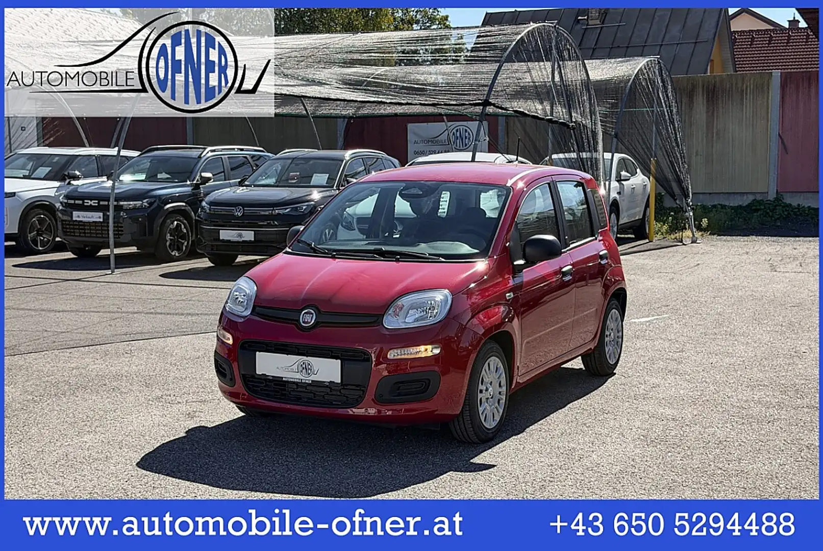 Fiat Pandina 1.0 Mild Hybrid Icon PDC - Sofort verfügbar Rot - 1