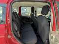 Fiat Pandina 1.0 Mild Hybrid Icon PDC - Sofort verfügbar Rot - thumbnail 10