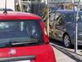 Fiat Pandina 1.0 Mild Hybrid Icon PDC - Sofort verfügbar Rot - thumbnail 29