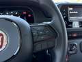 Fiat Pandina 1.0 Mild Hybrid Icon PDC - Sofort verfügbar Rot - thumbnail 24