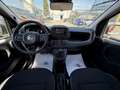 Fiat Pandina 1.0 Mild Hybrid Icon PDC - Sofort verfügbar Rot - thumbnail 14